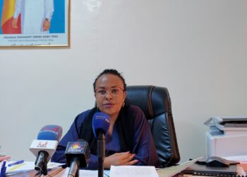 Tchad : La SONEXHO fait des clarifications sur les revendications des employés de Radisson