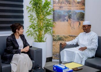 Coopération : Le Tchad et l’Italie s’unissent pour l’environnement