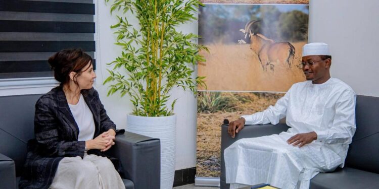 Coopération : Le Tchad et l’Italie s’unissent pour l’environnement