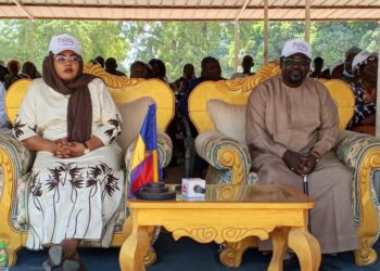 Moyen-Chari : La 32e édition de la Journée Nationale des Personnes Handicapées célébrée à Sarh