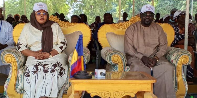 Moyen-Chari : La 32e édition de la Journée Nationale des Personnes Handicapées célébrée à Sarh