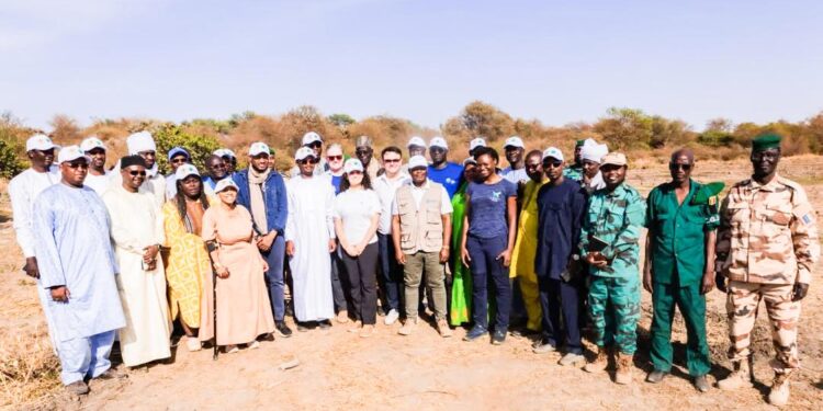 Tchad : Visite d&rsquo;une ferme agricole à Zafaye par le Ministre de l&rsquo;environnement et la directrice exécutive FVC