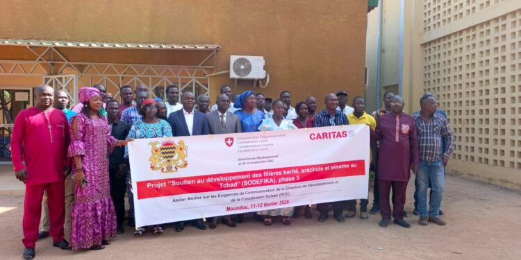 ​Moundou : Les médias locaux au diapason des exigences de la Coopération suisse