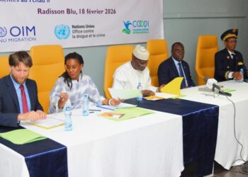 ​Tchad : Nouveau cap pour la réintégration des ex-associés des groupes extrémistes au Lac