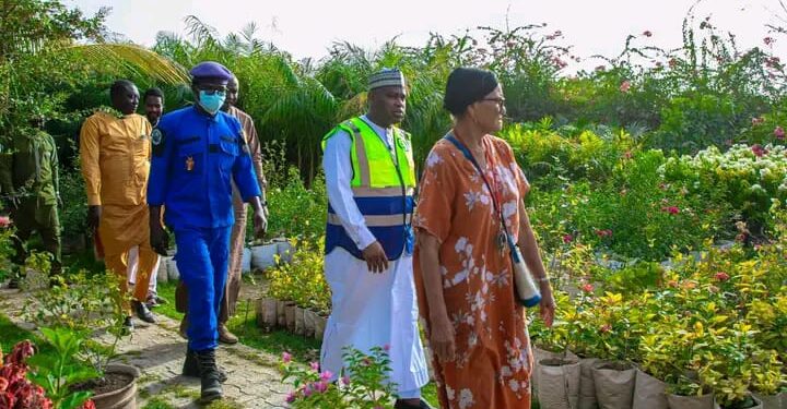 ​N&rsquo;Djaména : Le Maire Senoussi Hassana Abdoulaye mise sur la pépinière « Les Doigts Verts »
