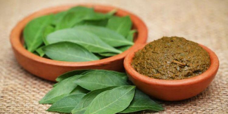 Tchad : Le henné, l&rsquo;or vert aux mille vertus