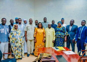 Tchad : La secrétaire d&rsquo;État à la santé auditionnée au sénat par la commission santé