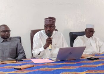 ​Lac : La gouvernance au contact des réalités du Mamdi