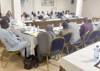 Tchad : Vers la conception d&rsquo;une stratégie nationale d&rsquo;alimentation scolaire basée sur la production locale