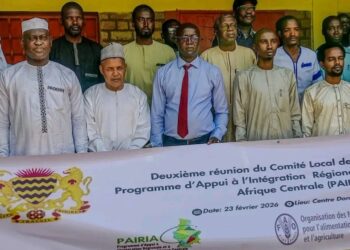 Tchad : Le Moyen-Chari se mobilise pour une transhumance apaisée et durable