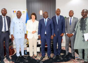 #Tchad : La traite des êtres humains au cœur d’une audience entre la CNDH et une délégation onusienne