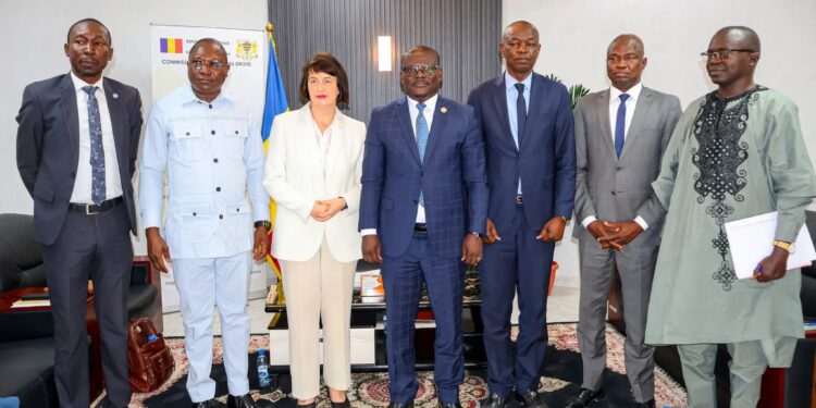 #Tchad : La traite des êtres humains au cœur d’une audience entre la CNDH et une délégation onusienne