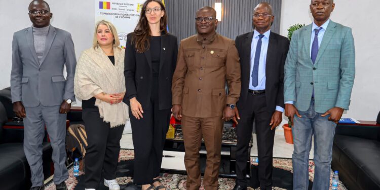 ​Tchad : La CNDH et l’ONUDC scellent une alliance pour les droits humains