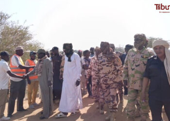 Moyen Chari : Inspection des travaux de réhabilitation du Pont de Tarangara