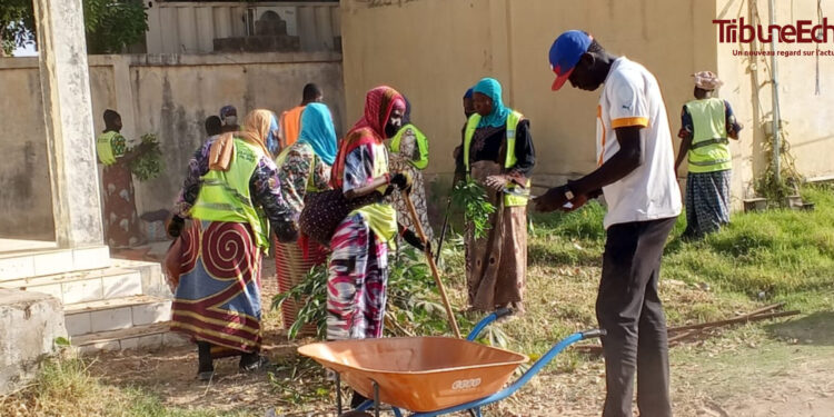 N&rsquo;djamena : Le palais de Justice accueille une vaste opération de salubrité