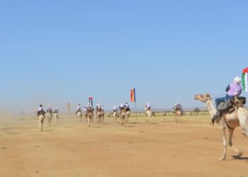 ​Amdjarass : Le FICSA au galop avec une course de dromadaires d’envergure internationale