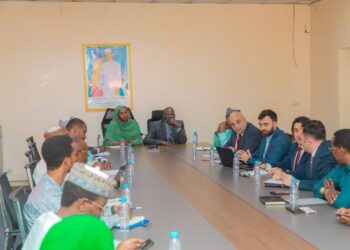 Tchad : Coopération avec l’Azerbaïdjan pour accélérer la digitalisation des transports