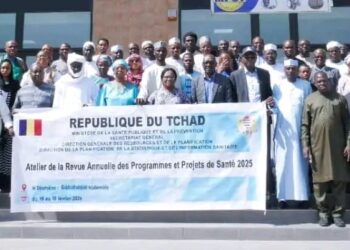 Tchad : Lancement d&rsquo;un atelier pour la revue des programmes et projets de santé