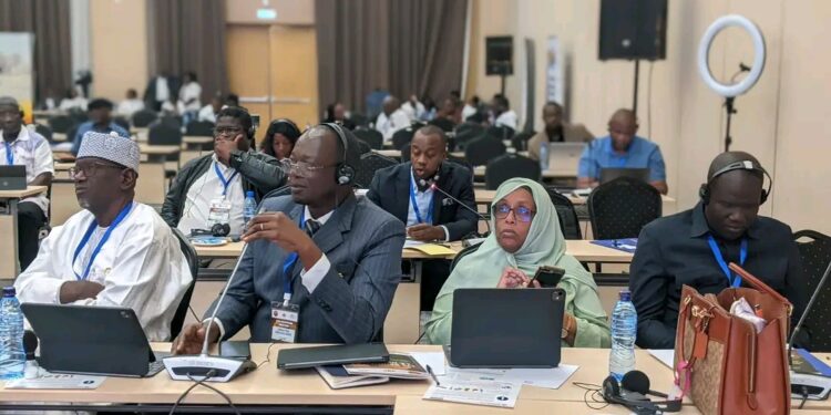 Le Sénat du Tchad propulsé au cœur des décisions sanitaires africaines à Lusaka