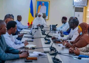 Tchad : Examen d’un projet de loi sur la transplantation rénale