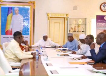 Tchad : Le comité du FNE accélère la mise en œuvre des réformes pour un nouveau cadre de l’emploi
