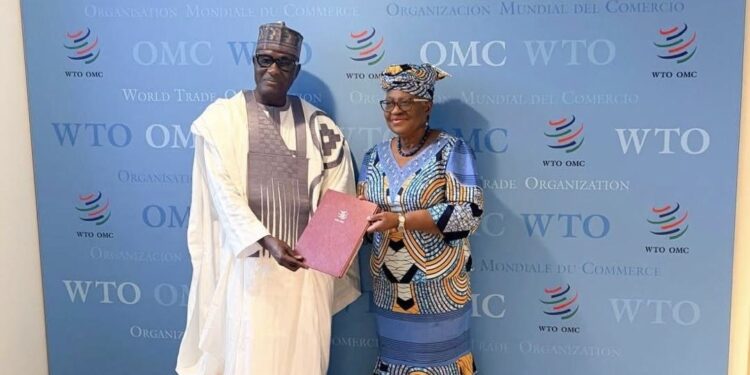 OMC : Ahmad Makaila présente ses lettres d’accréditation