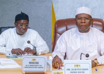 ​Tchad : Le Premier ministre évalue l&rsquo;avancement des grands chantiers agricoles