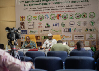 ​Tchad : L’ITRAD annonce un sommet régional pour booster la filière blé