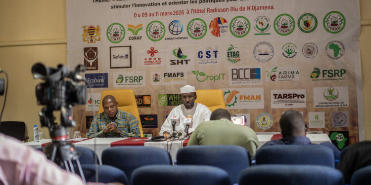 ​Tchad : L’ITRAD annonce un sommet régional pour booster la filière blé