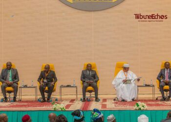 خبراء في أنجمينا يدعون إلى تعزيز إنتاج القمح في غرب ووسط أفريقيا