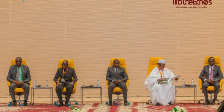 خبراء في أنجمينا يدعون إلى تعزيز إنتاج القمح في غرب ووسط أفريقيا