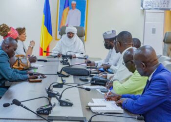 ​Tchad : Le ministère de la Santé et le PAM renforcent leur synergie stratégique