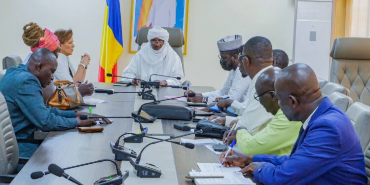 ​Tchad : Le ministère de la Santé et le PAM renforcent leur synergie stratégique