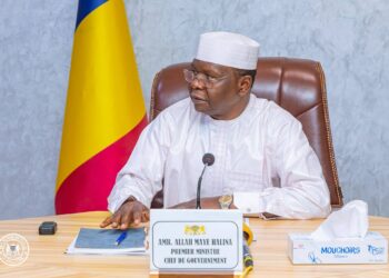 قطاع الثروة الحيوانية تحت مجهر التقييم: رئيس الوزراء يطالب بنتائج ملموسة