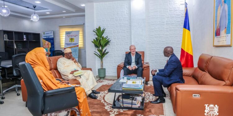 ​Tchad : L&rsquo;innovation numérique au service de l&rsquo;école