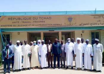 ​Tchad : Enrôlement des pasteurs dans le Registre Social Unifié, restitution des résultats