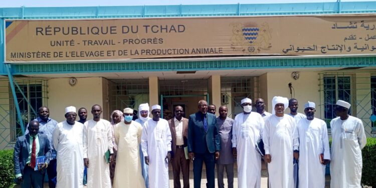 ​Tchad : Enrôlement des pasteurs dans le Registre Social Unifié, restitution des résultats