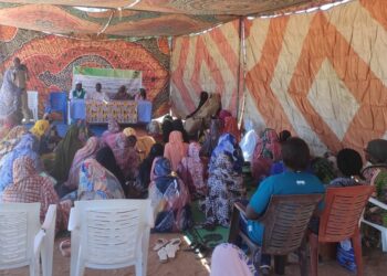 ​Sila : Autonomisation des femmes au cœur de la SENAFET à Goz-Beïda