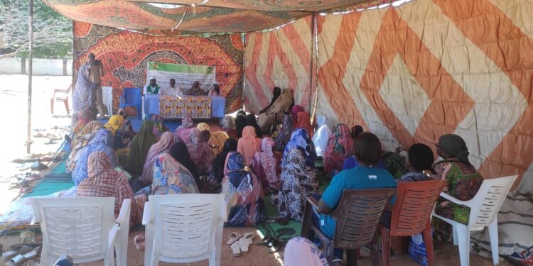 ​Sila : Autonomisation des femmes au cœur de la SENAFET à Goz-Beïda