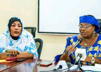 ​Tchad : La santé et les droits des femmes au cœur des débats au ministère