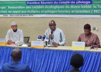 ​Tchad : Lancement de la phase 2 du projet RECONNECT pour la restauration des corridors écologiques