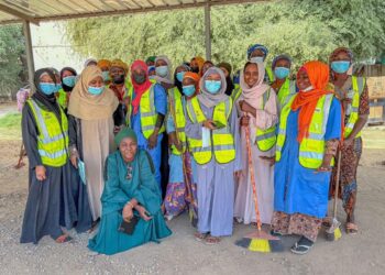 Tchad : Le Ministère des transports accueille une vaste opération de salubrité
