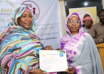 أنجمينا: اختتام دورة تدريبية حول الذكاء الاصطناعي لفائدة الإعلاميات