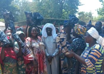 ​Logone Oriental : Excellence scolaire et promotion de la femme dans la Nya Pendé