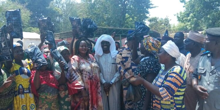 ​Logone Oriental : Excellence scolaire et promotion de la femme dans la Nya Pendé