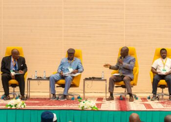 Tchad : N’Djamena au cœur des stratégies de souveraineté céréalière en Afrique