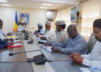 ​Tchad : La régularisation des cotisations sociales au cœur des échanges entre le ministre de la Santé et les directeurs des CHU