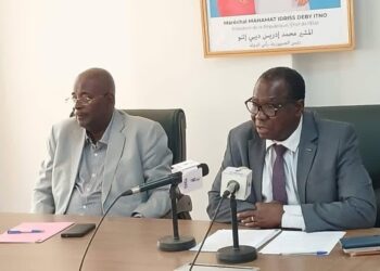 ​N&rsquo;Djamena mise sur le maraîchage pour devenir une « Ville Intelligente »