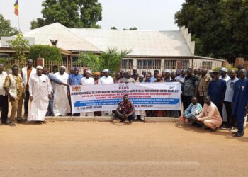 ​Moyen-Chari : La santé publique en quête de performance à Sarh