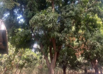 ​Moyen-Chari : Un étudiant grièvement blessé par accident à l’Université de Sarh